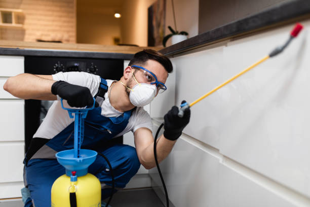 Reliable New Whiteland, IN Pest Control Solutions