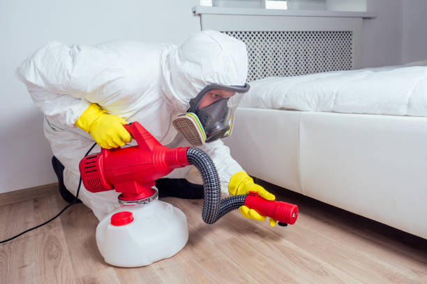 Best Local Pest Control Services  in New Whiteland, IN