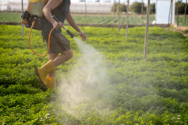 Best Pest Inspection Near Me  in New Whiteland, IN