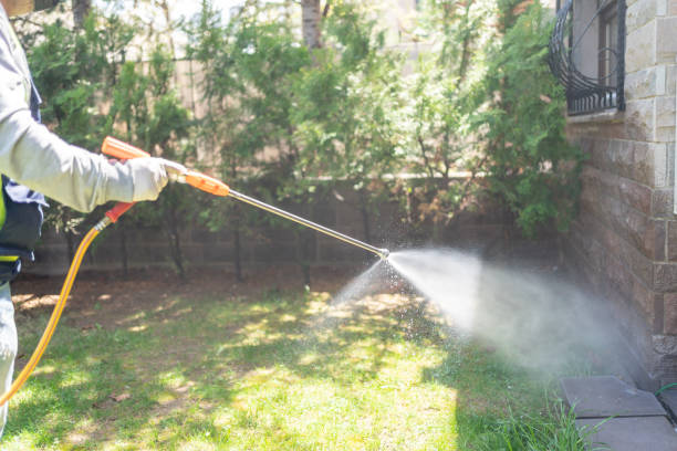 Best Termite Control Services  in New Whiteland, IN