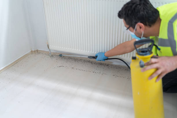 Best Pest Removal Services  in New Whiteland, IN